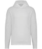 Native Spirit Unisex Oversized Hoodie
